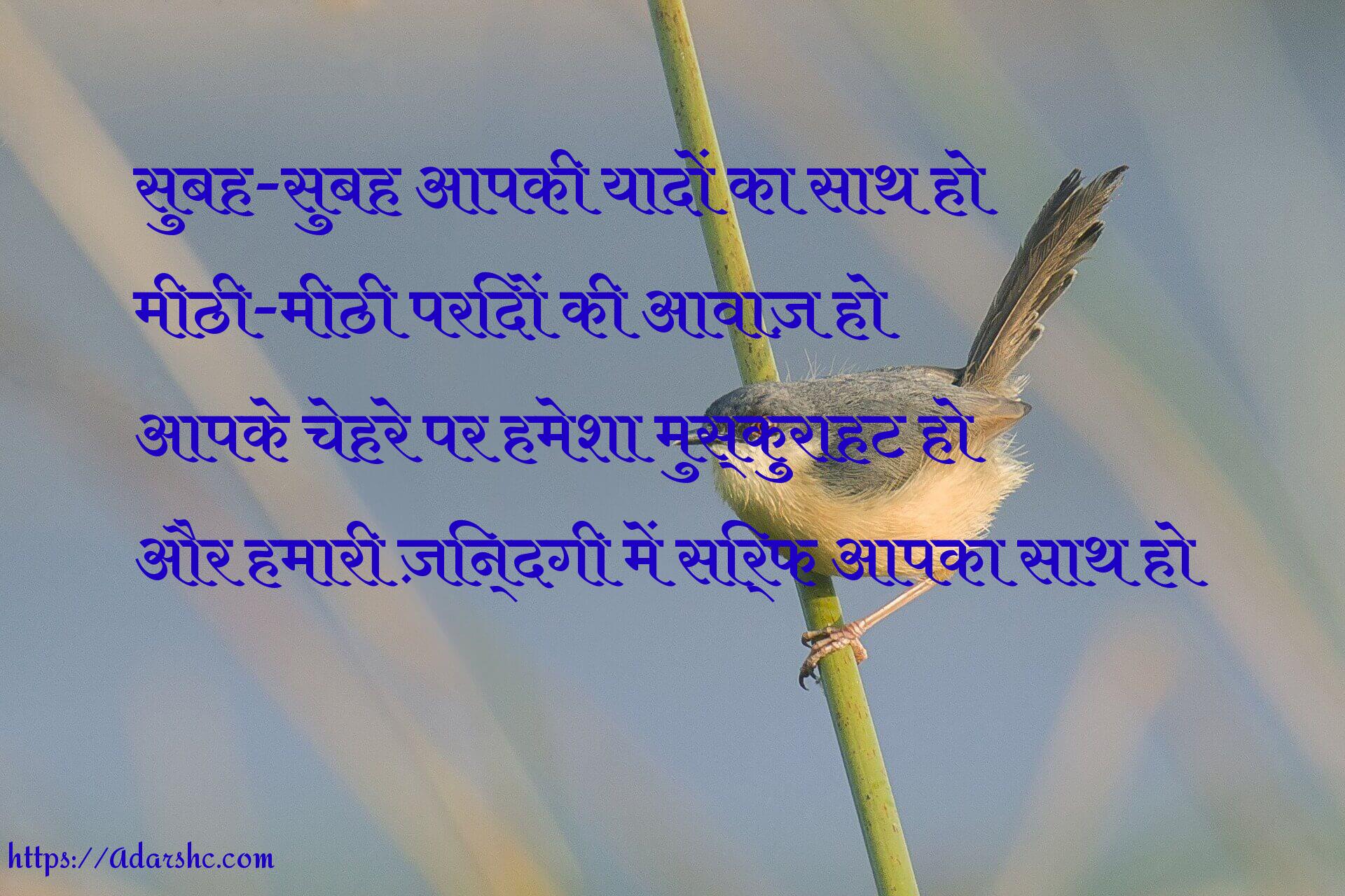 morning peace invorment