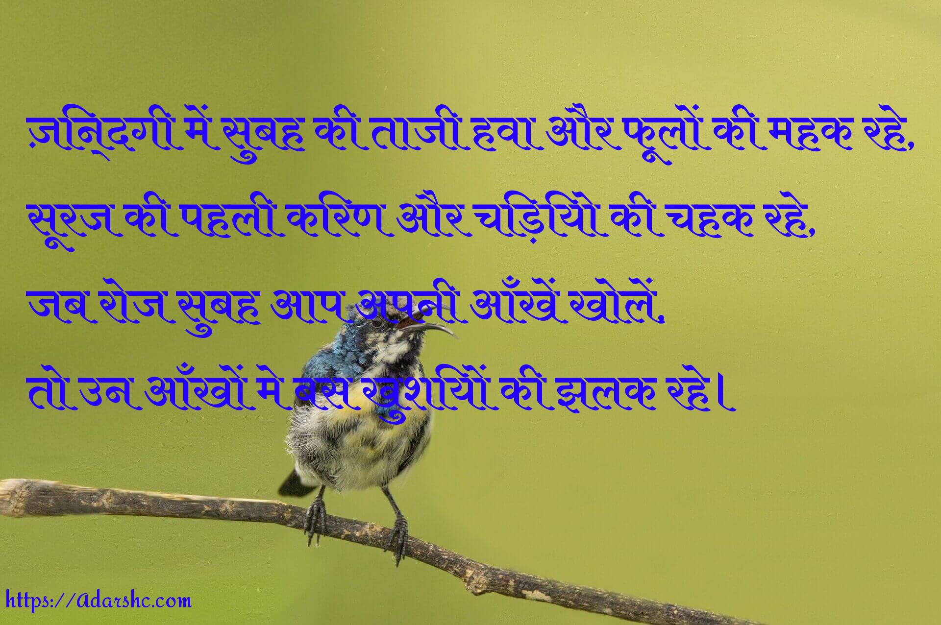 morning peace invorment