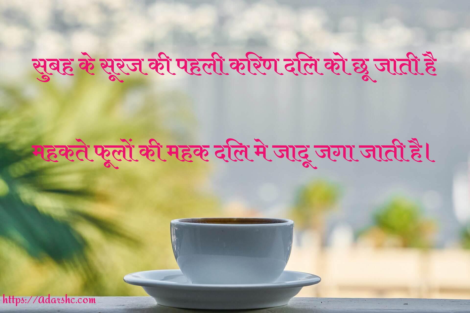 morning peace invorment