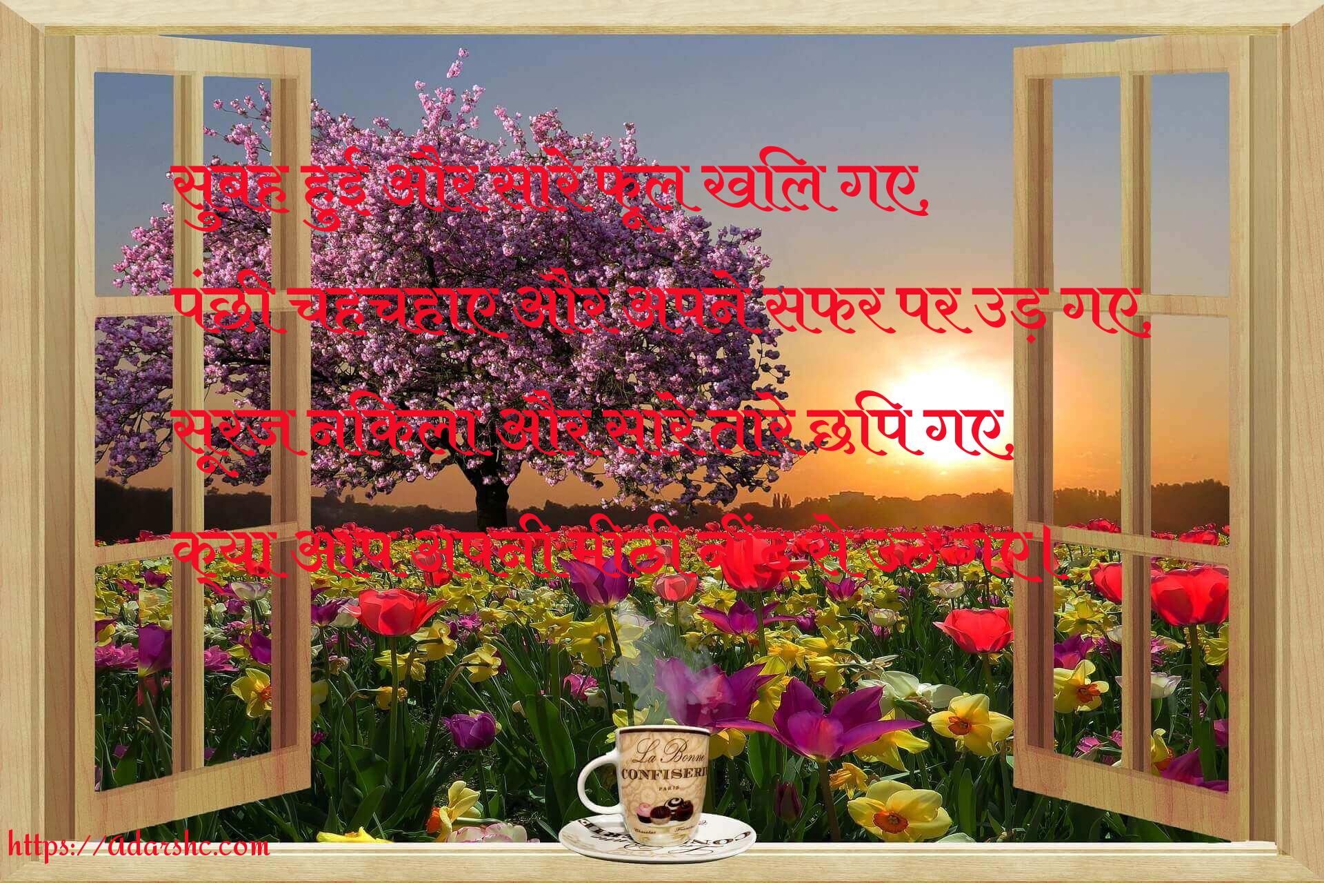 morning peace invorment