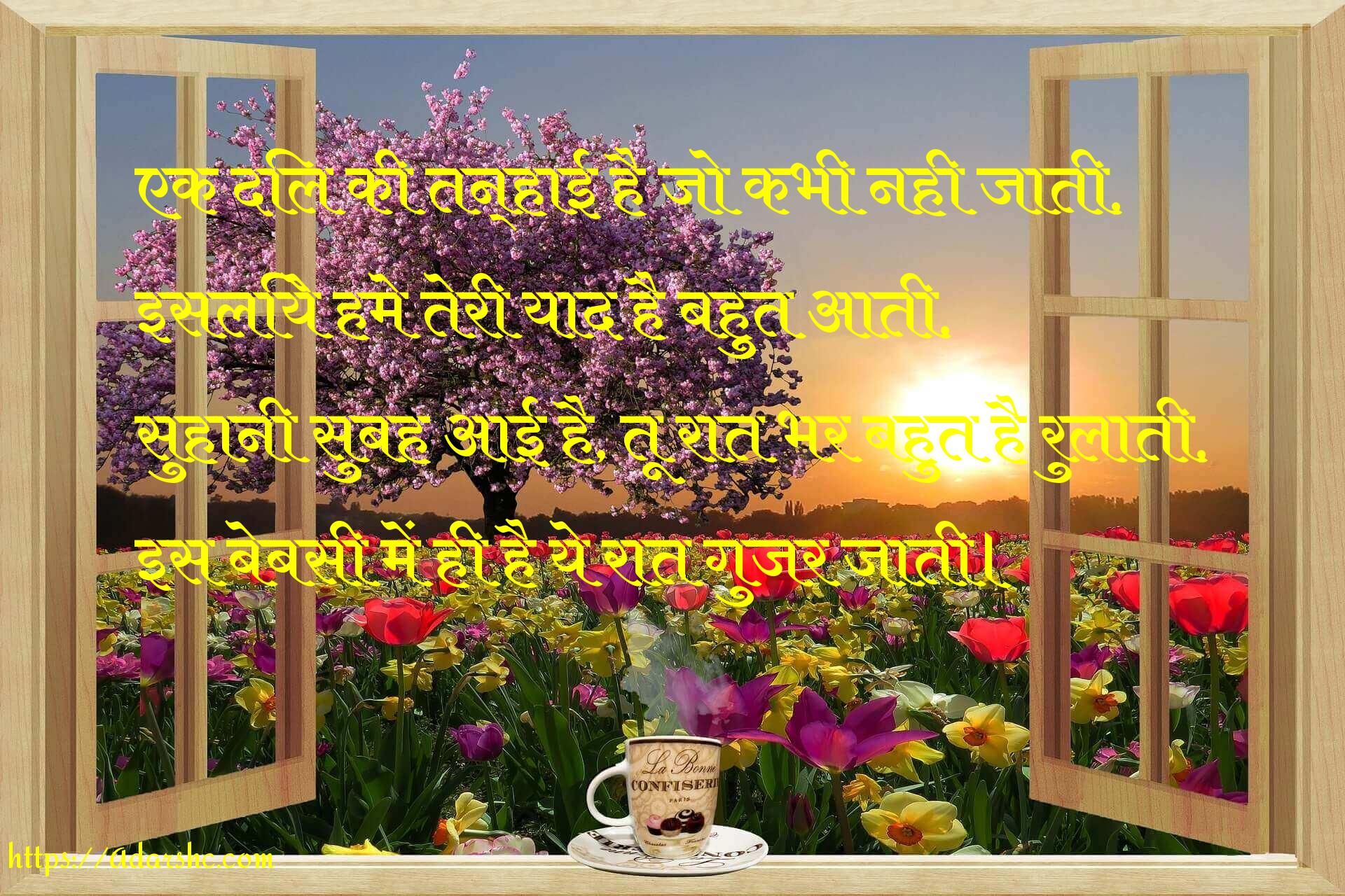 morning peace invorment