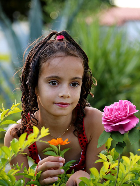 sample of more image