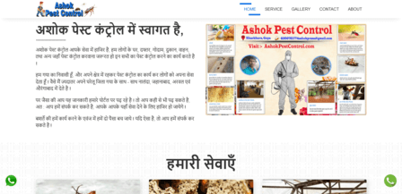 ashokpestcontrol.com.png